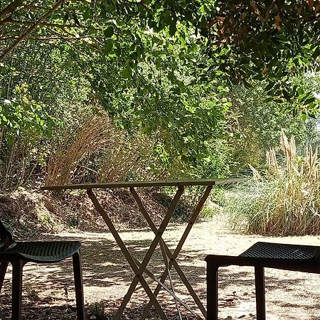 Les Restanques - Chambre D'Hotes Cuges-les-Pins Buitenkant foto